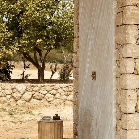 Sui Generis * Pesádha